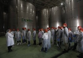 Deoleo y Fundación Cruzcampo forman a 60 futuros hosteleros en el proceso de elaboración del aceite de oliva