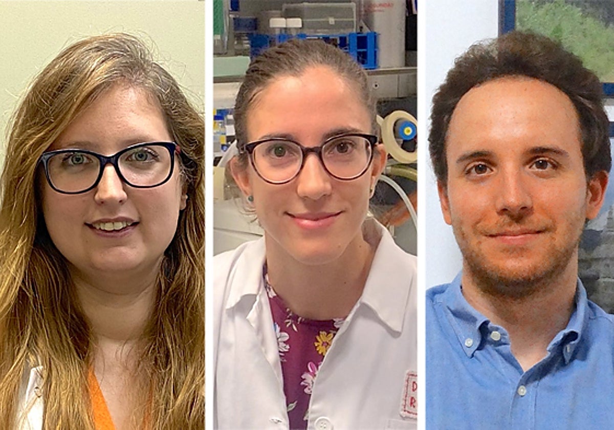El Ateneo de Sevilla premia a tres jóvenes investigadores por sus trabajos  sobre el cáncer