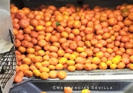La Policía intercepta un todoterreno que circulaba con 700 kilos de mandarinas por Sevilla