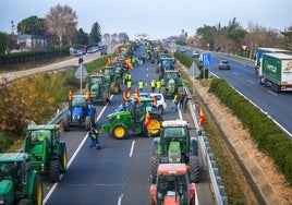 La Delegación del Gobierno ordena a los agricultores que dejen un carril libre en los cortes de tráfico de este miércoles en Sevilla