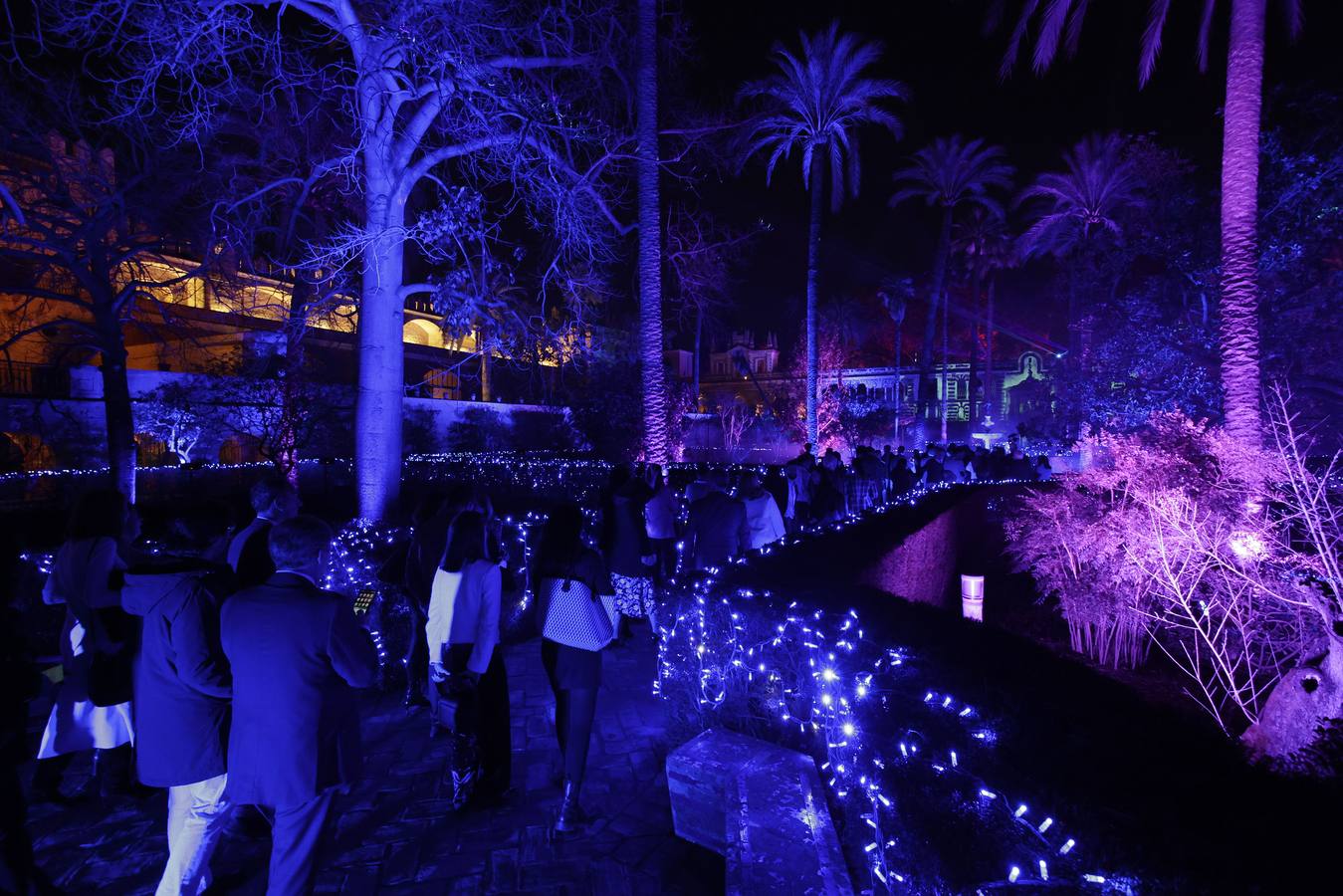 Los jardines del Alcázar durante el espectáculo de luz y color que aumenta aún más si cabe la belleza de este espacio