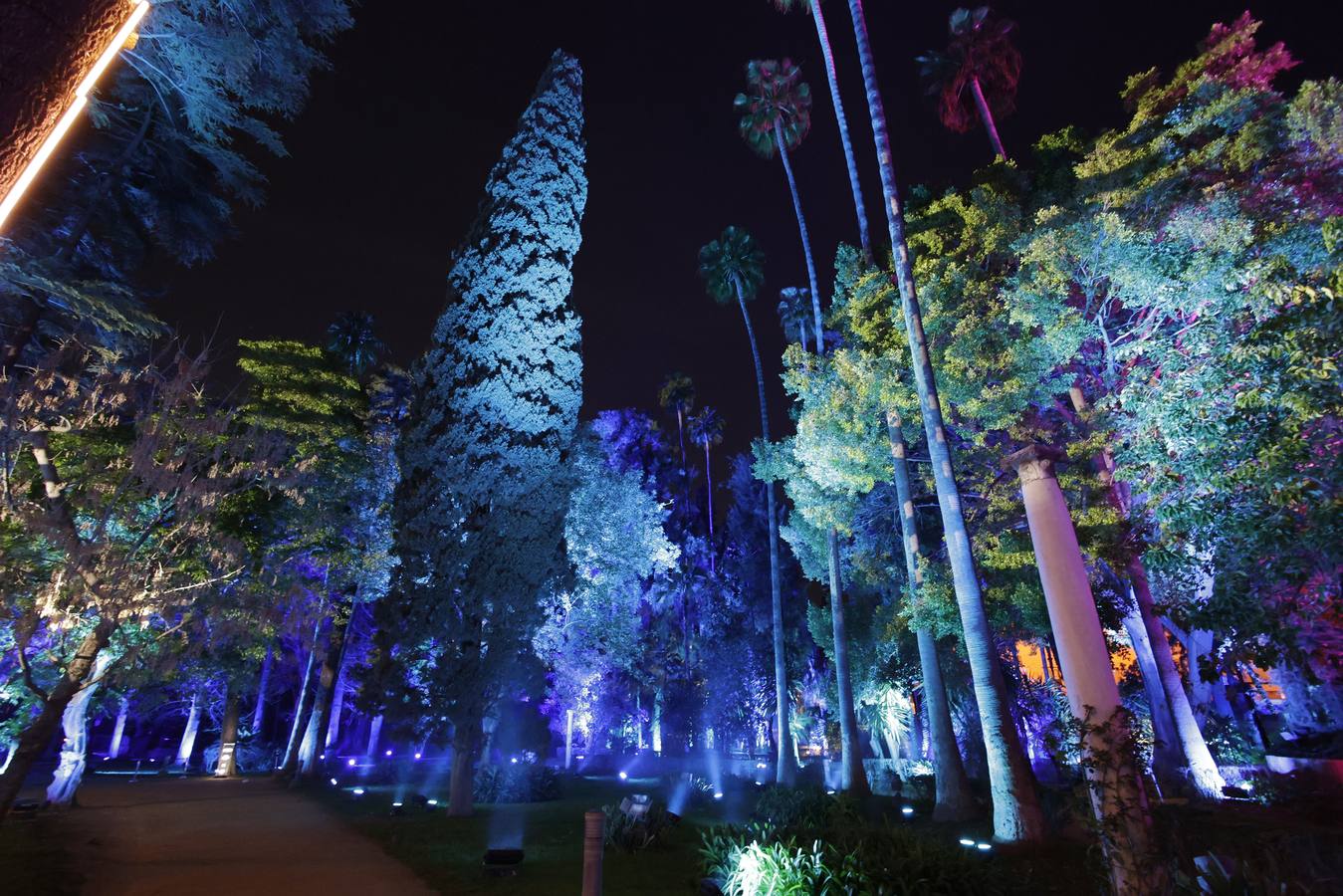 Los jardines del Alcázar durante el espectáculo de luz y color que aumenta aún más si cabe la belleza de este espacio