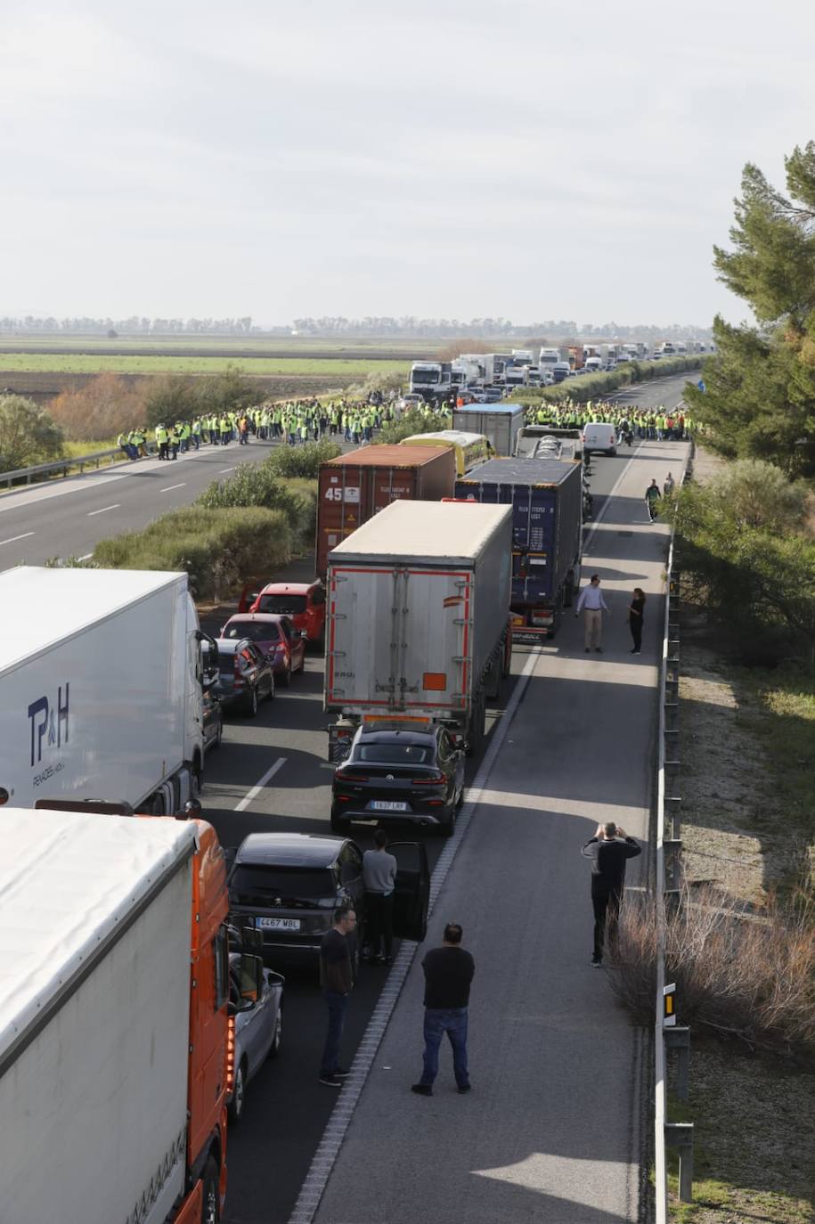Tractorada en la AP-4 a la altura de Los Palacios y Villafranca