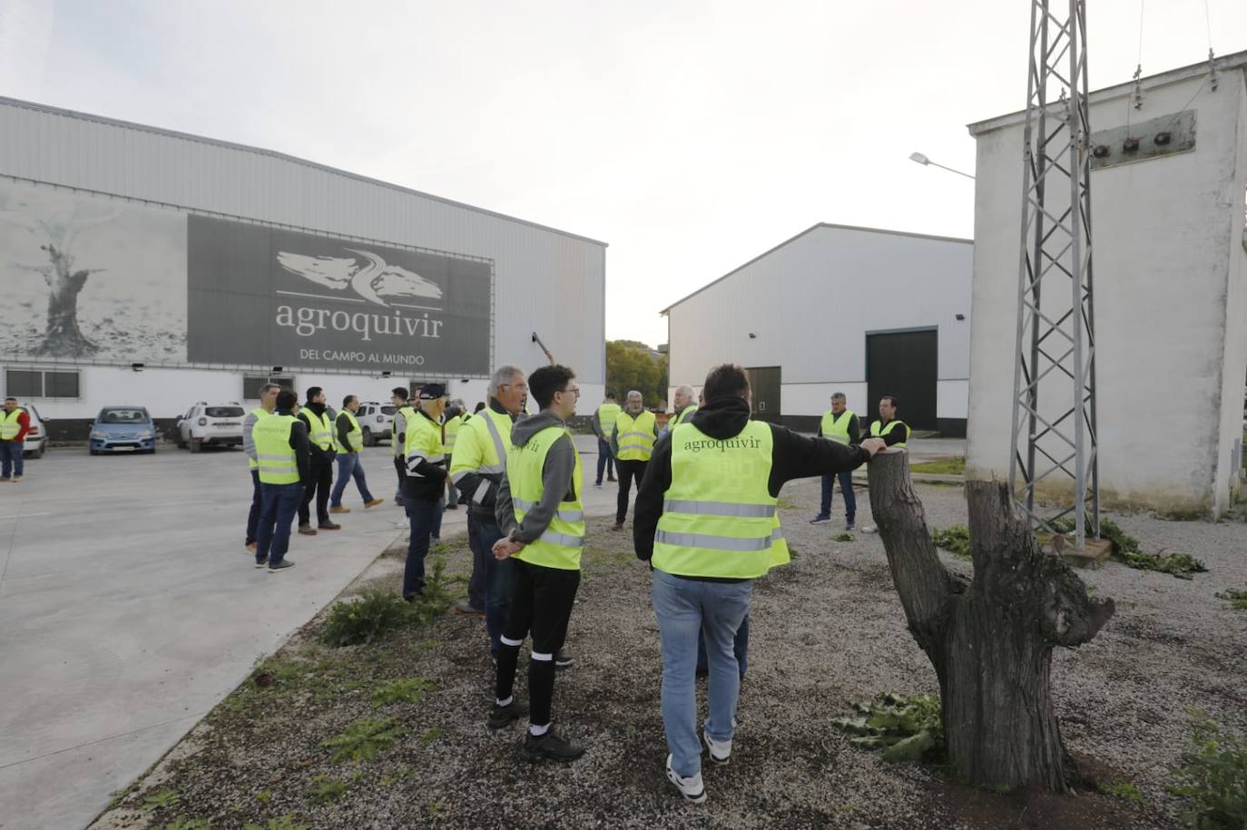 Tractorada en la AP-4 a la altura de Los Palacios y Villafranca