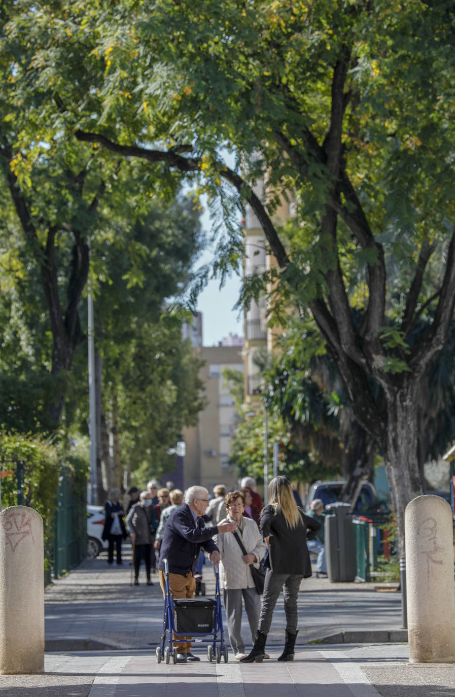 Pino Montano, un barrio sevillano con costumbres de antaño, en imágenes