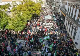 Protestas masivas en Osuna contra los «graves recortes y el deterioro» de la sanidad en la comarca