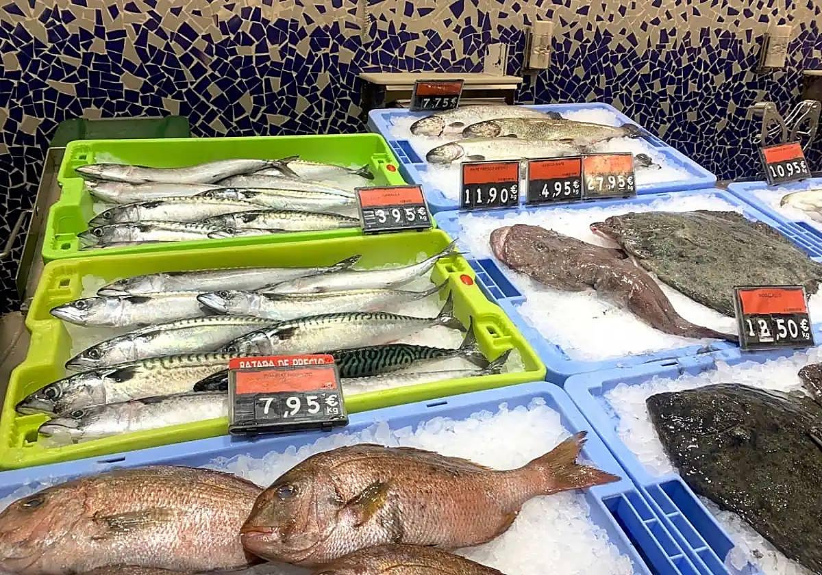 Conocer los riesgos del consumo de mercurio en el pescado es vital para los colectivos de población más vulnerables