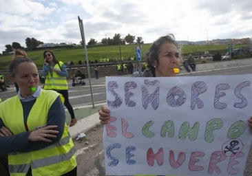 La crisis del campo debe convertirse en un 'asunto de Estado'