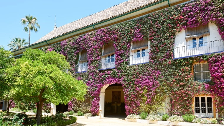 Jardín del Palacio de las Dueñas