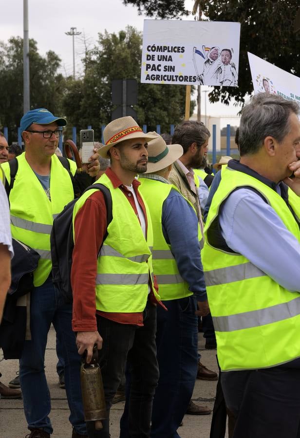 Los agricultores han bloqueado el acceso a las instalaciones del Puerto de Sevilla