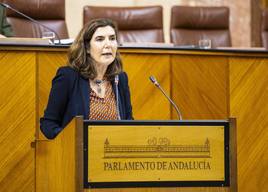 Andalucía destinará 145 millones a incentivos para que los autónomos hagan su primer contrato
