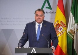 La Junta de Andalucía recalca que la Federación sólo asesoró técnicamente a La Cartuja sin contraprestación económica