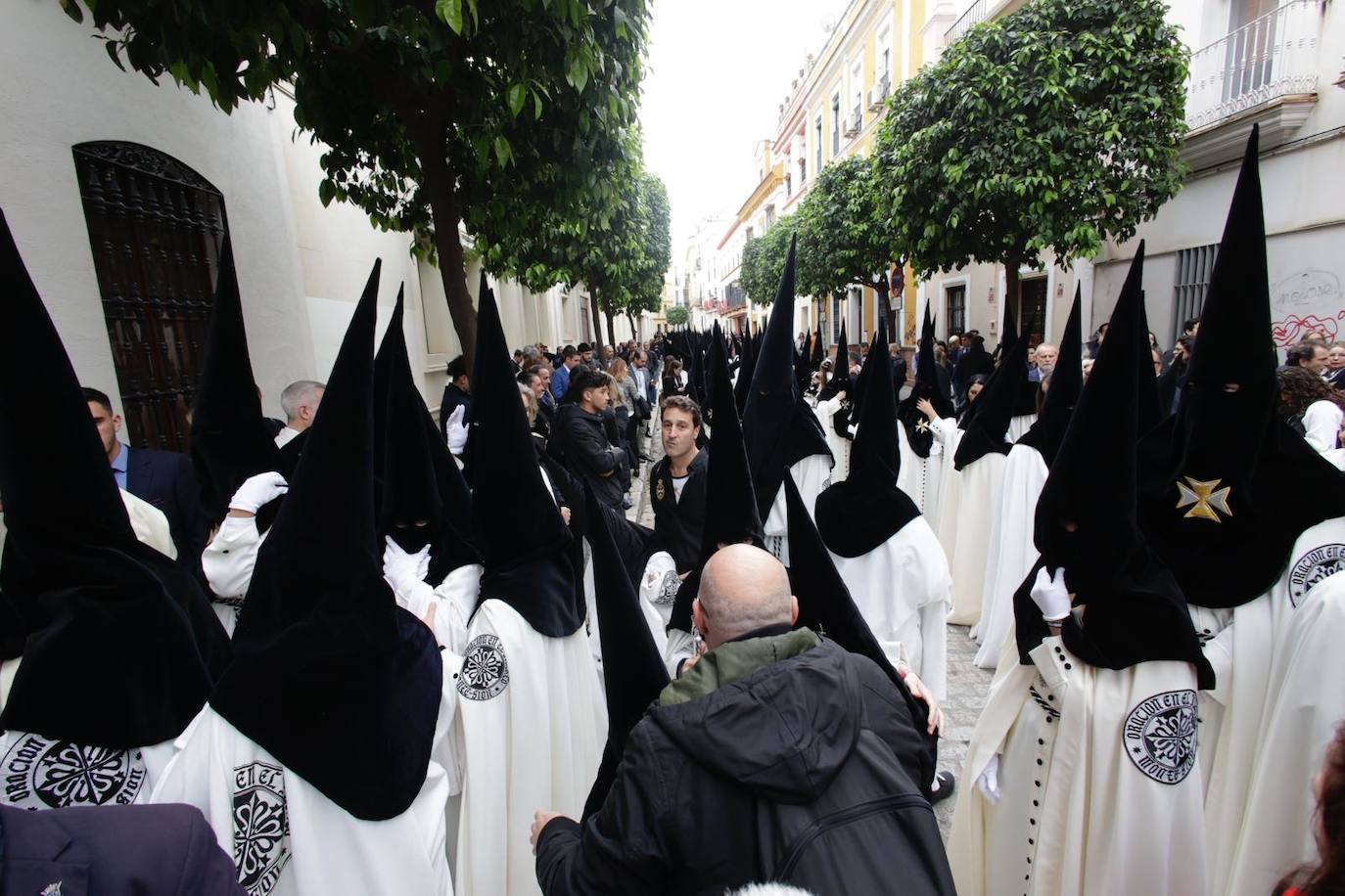Jueves santo de la semana santa de sevilla 2024, en imágenes