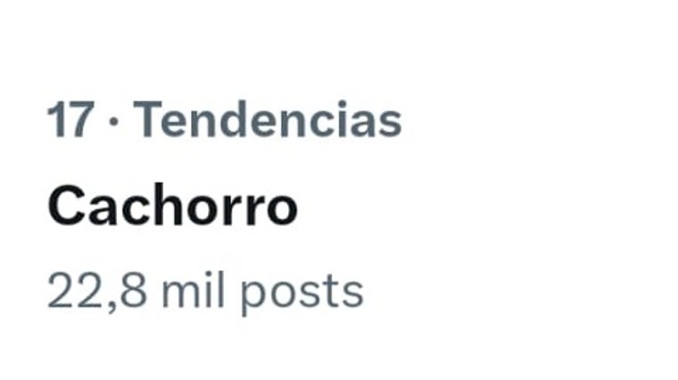 El Cachorro es TT en España