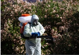 La Junta de Andalucía confirma un caso de un niño con virus del Nilo en Lebrija e investiga otro en Dos Hermanas