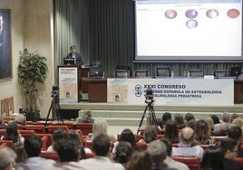 Expertos nacionales e internacionales debaten en Sevilla sobre Estrabología y Oftalmología Pediátrica en el XXXI Congreso de la SEEOP