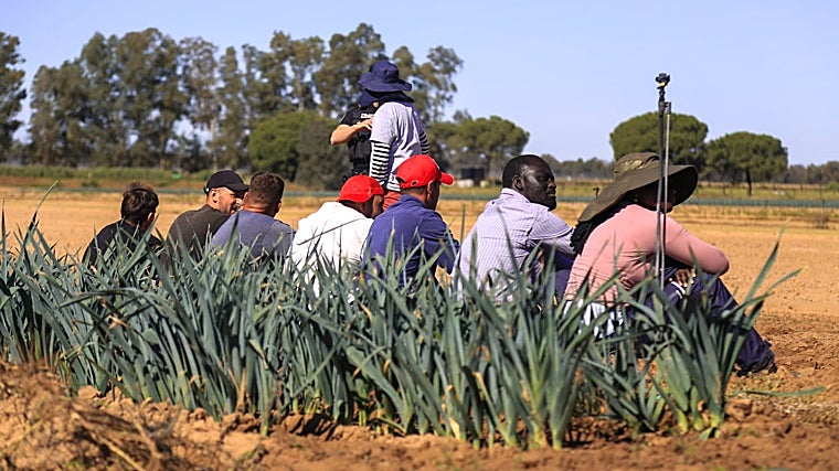Algunos de los trabajadores que ya han sido identificados, esperan sentados sobre el suelo de la explotación de cebollas