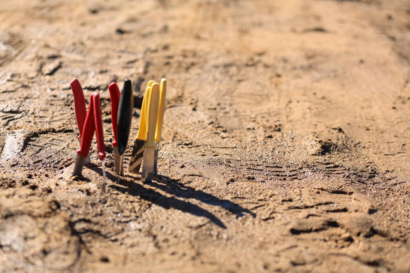 Los agentes inspeccionan una explotación agrícola en Villamanrique de la Condesa