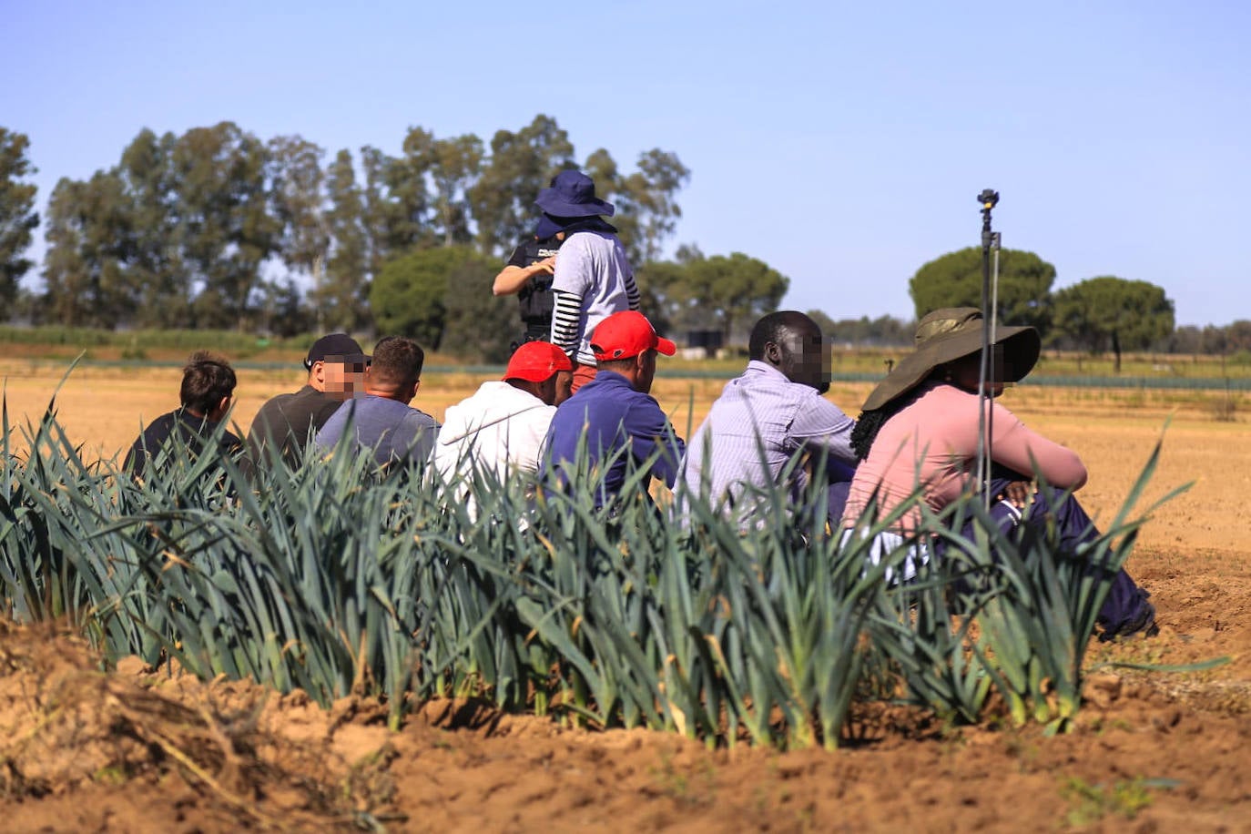 Los agentes inspeccionan una explotación agrícola en Villamanrique de la Condesa