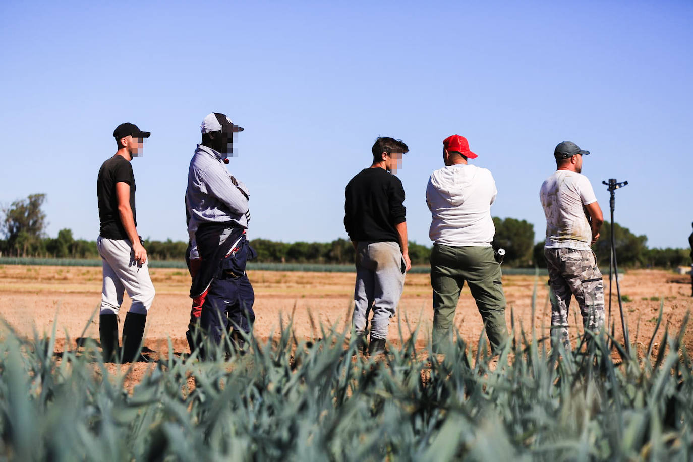 Los agentes inspeccionan una explotación agrícola en Villamanrique de la Condesa