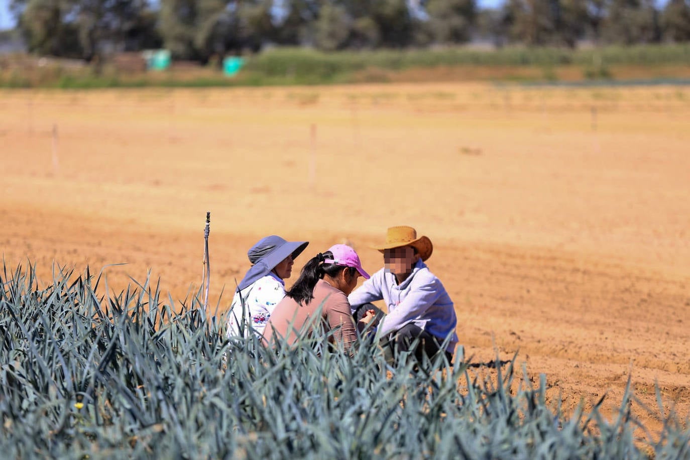 Los agentes inspeccionan una explotación agrícola en Villamanrique de la Condesa