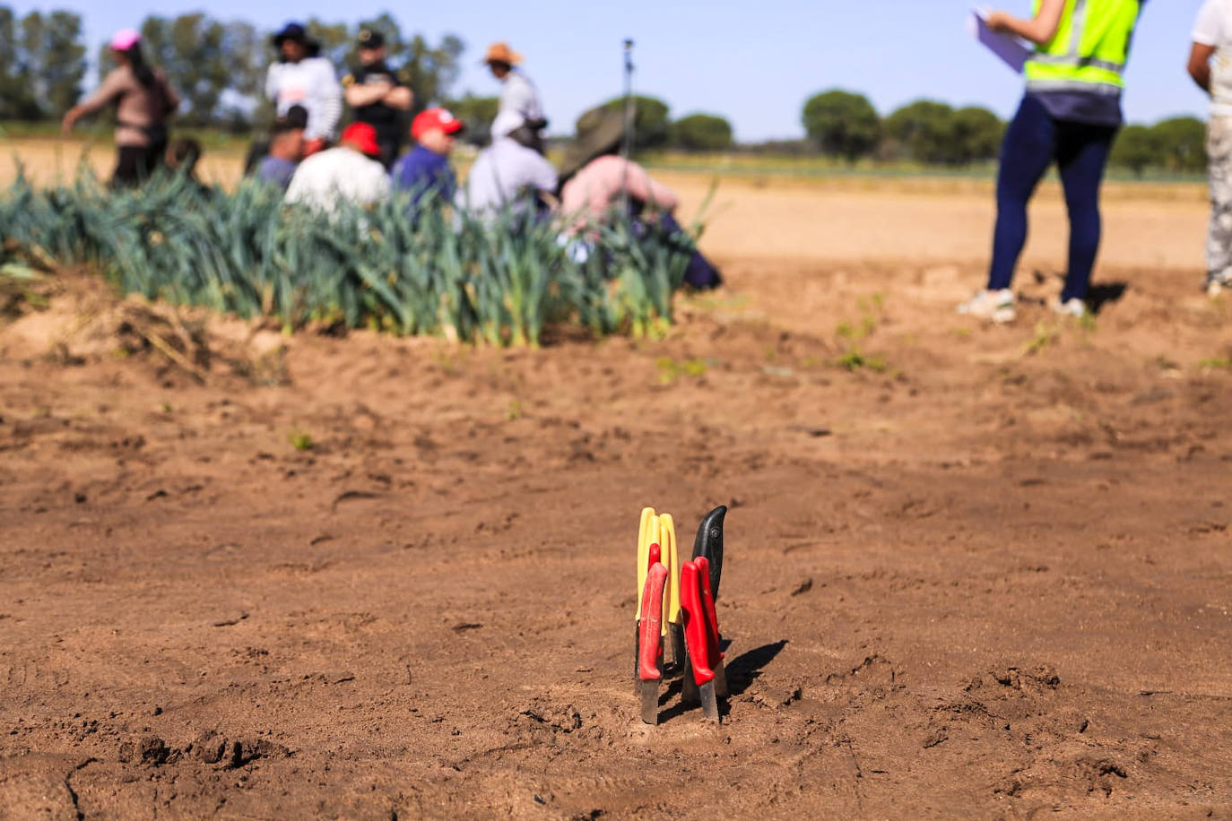Los agentes inspeccionan una explotación agrícola en Villamanrique de la Condesa