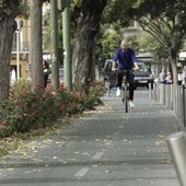 El carril bici de Sevilla a examen: estas son las ciudades que más usan la bicicleta para ir al trabajo