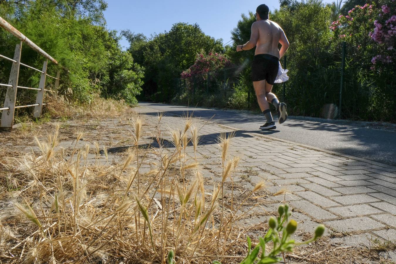 Deterioro y abandono en la orilla del río a su paso por La Cartuja y en el Paseo de Juan Carlos I