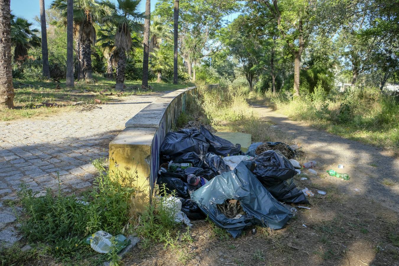 Deterioro y abandono en la orilla del río a su paso por La Cartuja y en el Paseo de Juan Carlos I