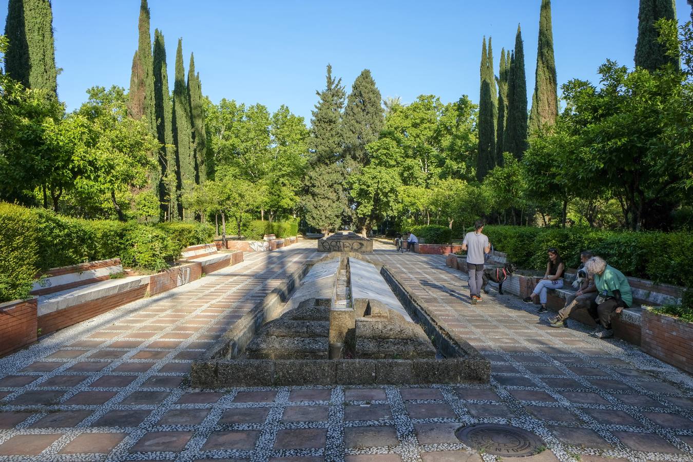 Deterioro y abandono en la orilla del río a su paso por La Cartuja y en el Paseo de Juan Carlos I