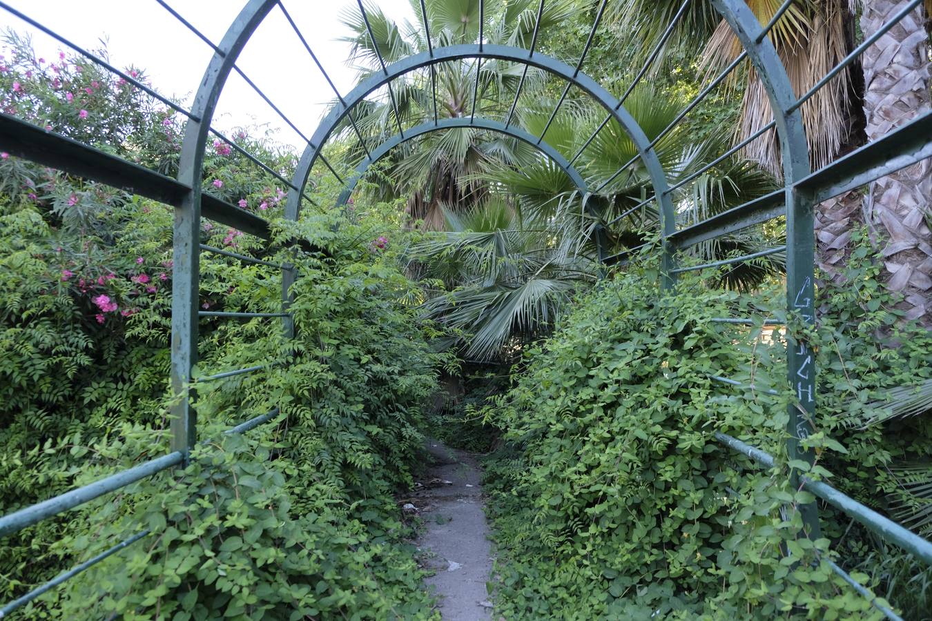 Deterioro y abandono en la orilla del río a su paso por La Cartuja y en el Paseo de Juan Carlos I