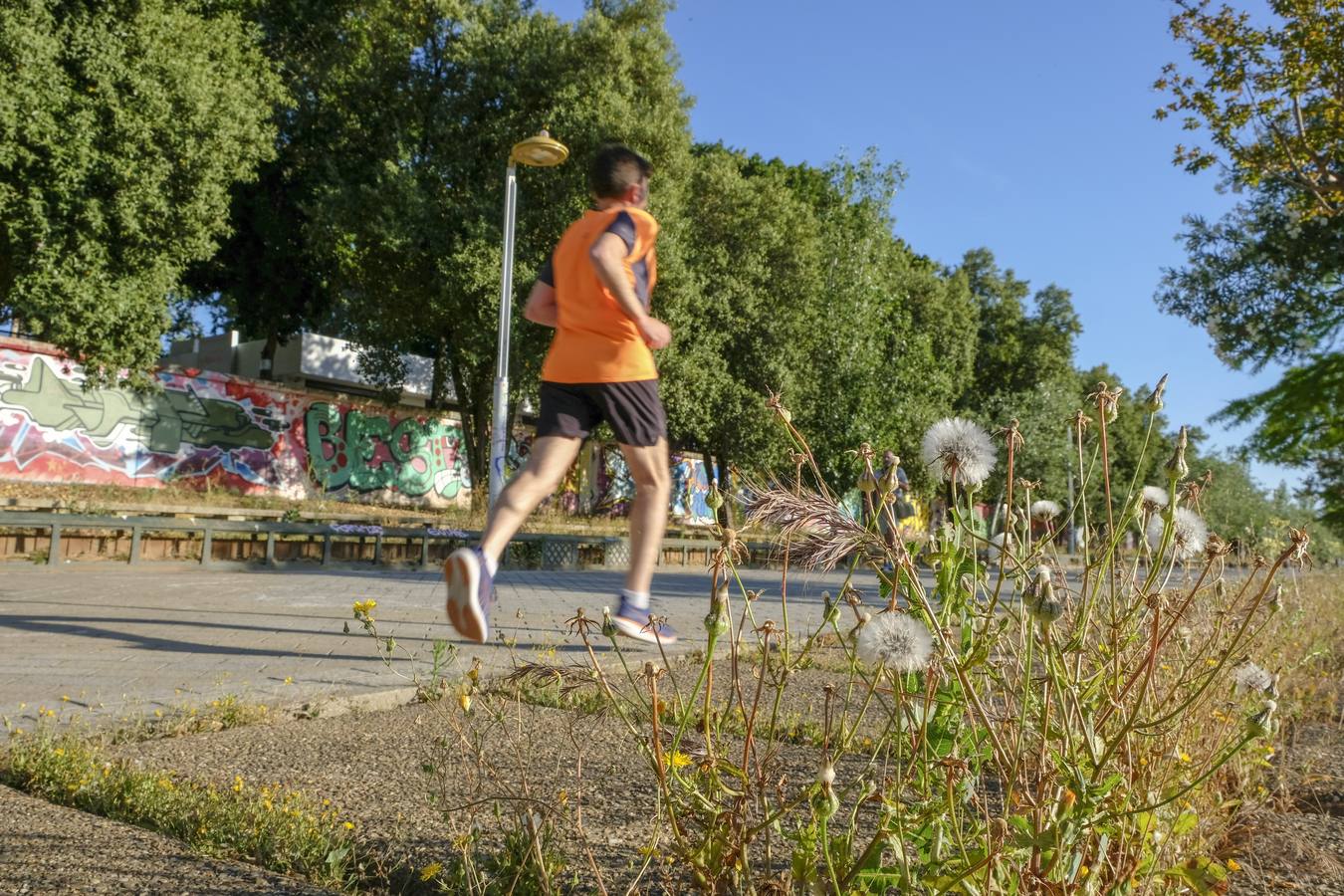 Deterioro y abandono en la orilla del río a su paso por La Cartuja y en el Paseo de Juan Carlos I