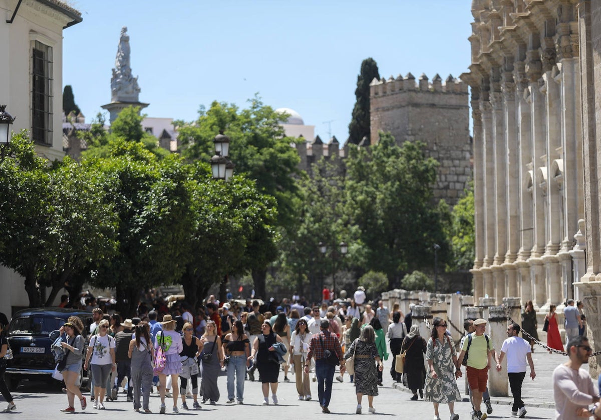 Turistas por el casco histórico de Sevilla
