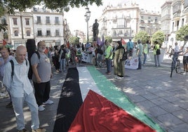 Baja participación en la manifestación pro Palestina organizada en Sevilla