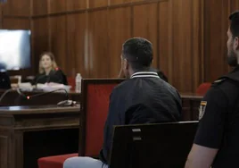 El agresor durante una sesión del juicio en la Audiencia de Sevilla