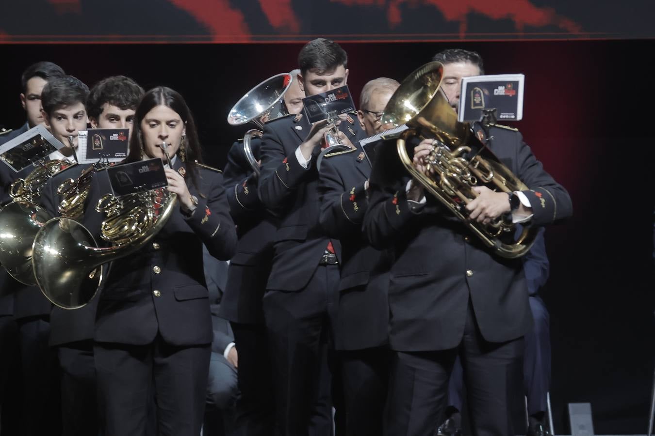 Fibes acogió este jueves las entregas de las Medallas de la Ciudad de Sevilla 2024