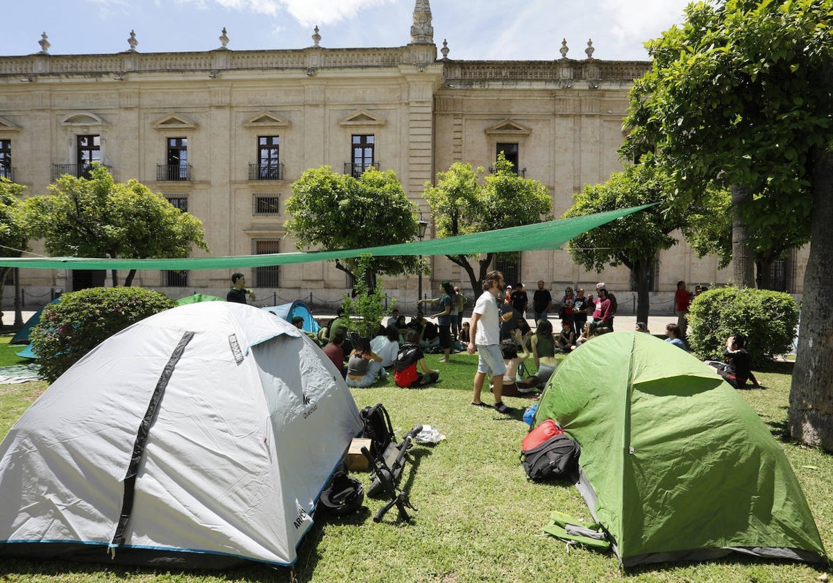 Acampada pro Palestina en el Rectorado de la Universidad de Sevilla