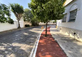 Un árbol en mitad de un carril bici en la calle Abate Marchena de Utrera