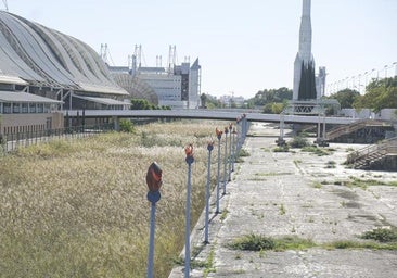 Los empresarios de Cartuja valoran la recalificación del Canal Expo: «Al cruzar el puente ya no se verá un sitio abandonado e inseguro»