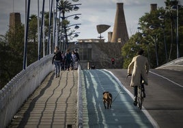 Las pasarelas sobre el río, claves para la integración de la Cartuja en la ciudad de Sevilla