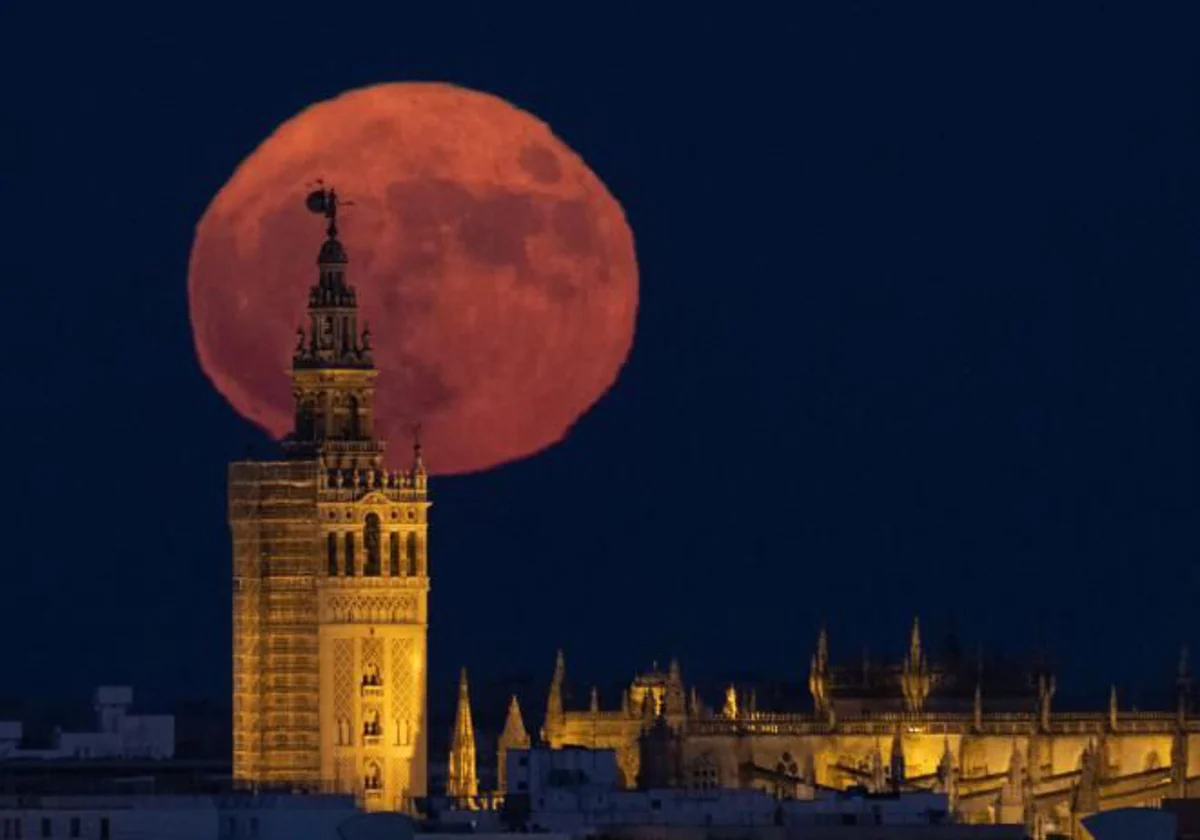 Dónde ver la Luna de Miel en Andalucía