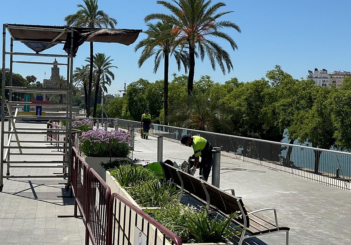 Operarios trabajando en Marqués de Contadero, donde ha comenzado la instalación de los toldos