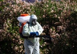 Salud notifica un nuevo afectado por el virus del Nilo en Tomares