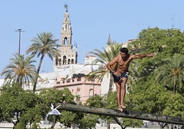 Imágenes del primer día de cucaña en la Velá de Triana 2024