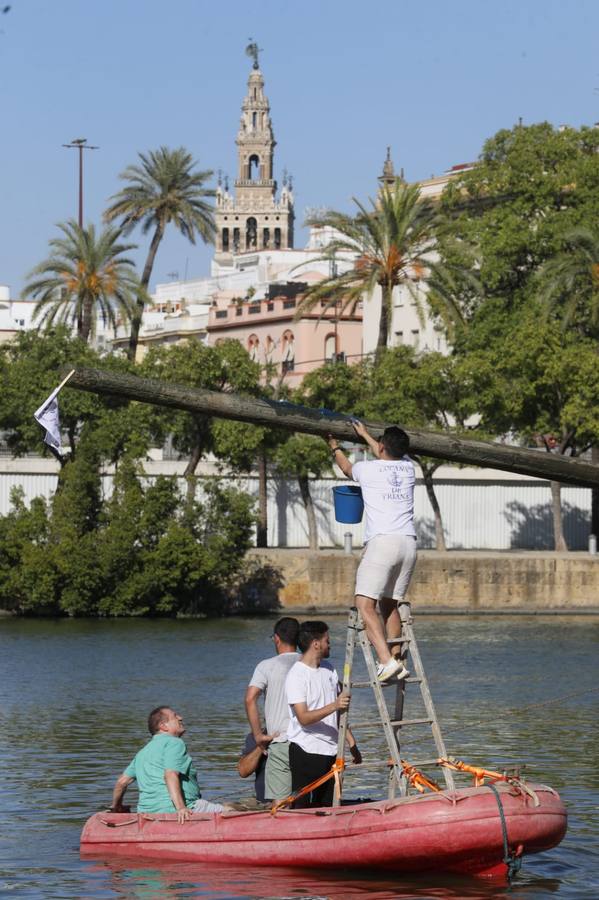 Momentos emocionantes se han vivido esta tarde en el juego de la cucaña