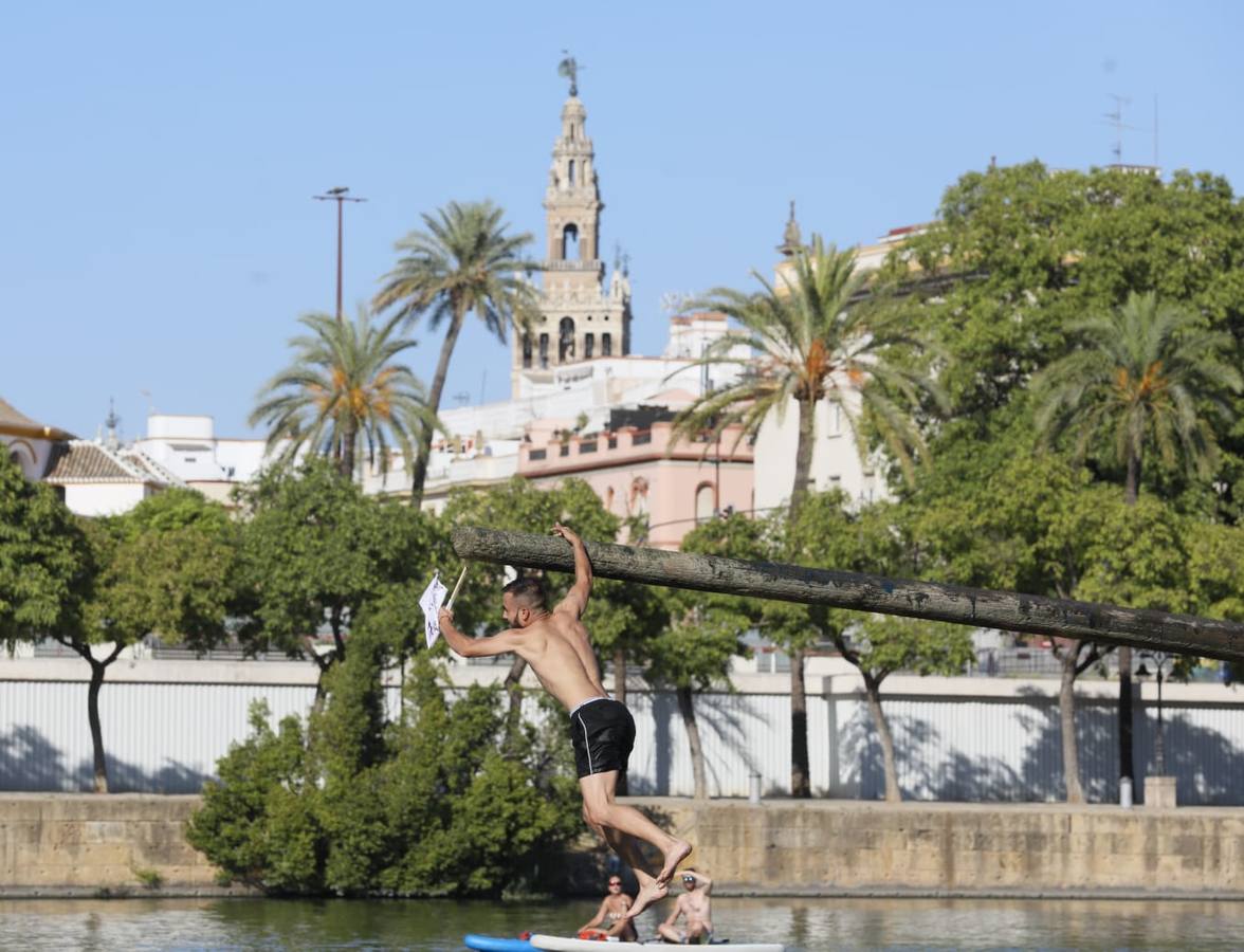 Momentos emocionantes se han vivido esta tarde en el juego de la cucaña