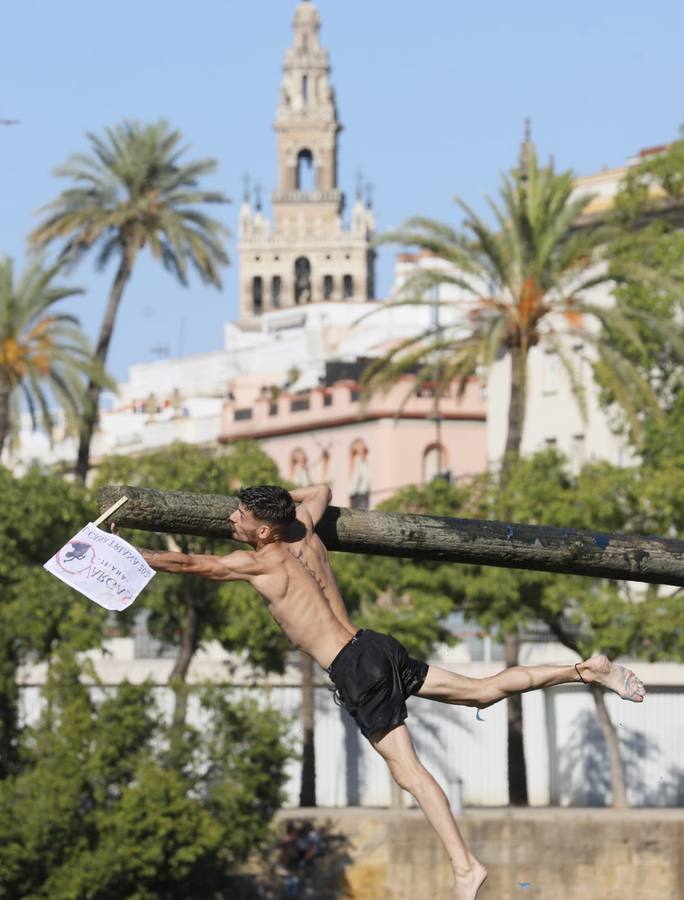 Momentos emocionantes se han vivido esta tarde en el juego de la cucaña