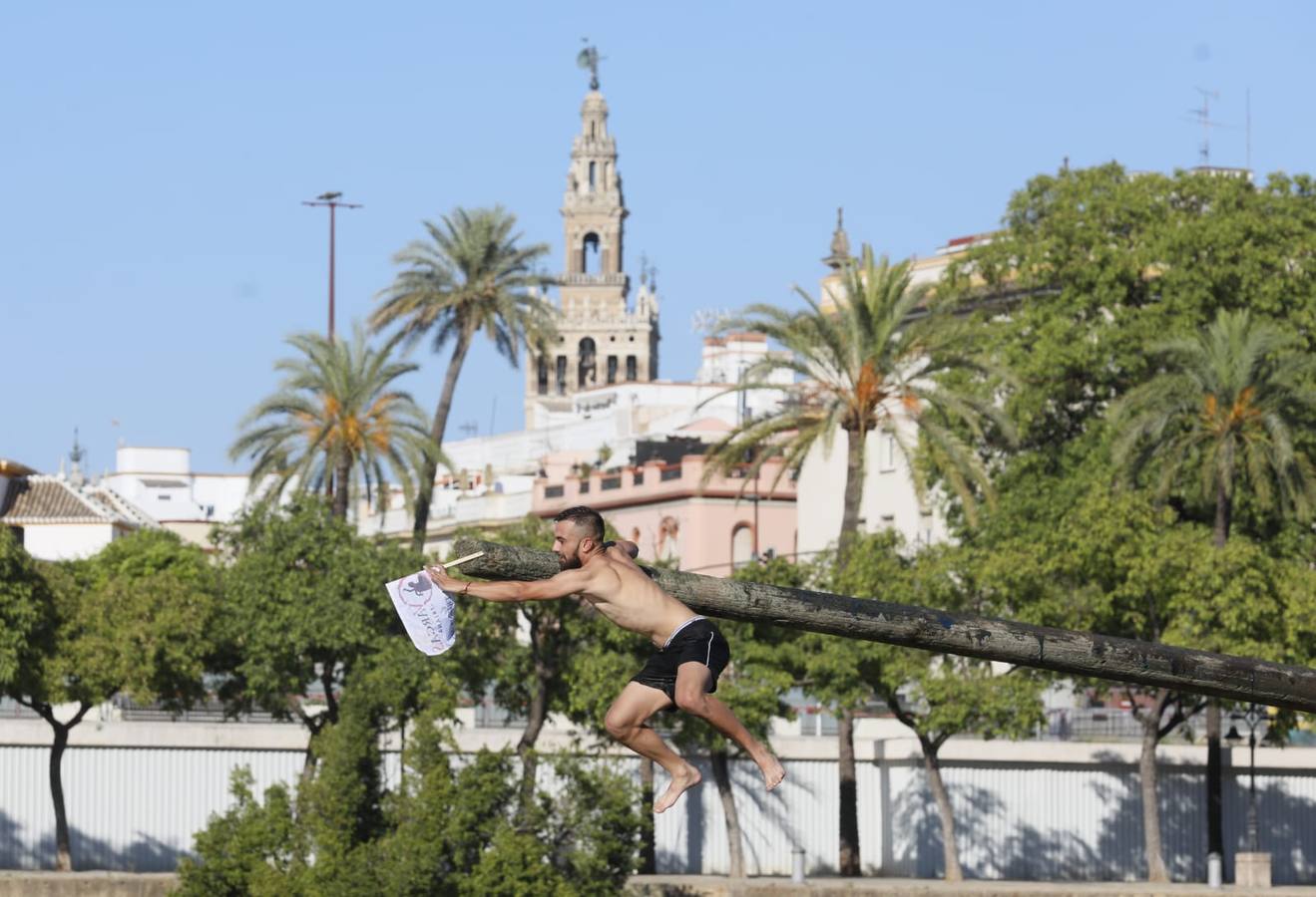 Momentos emocionantes se han vivido esta tarde en el juego de la cucaña
