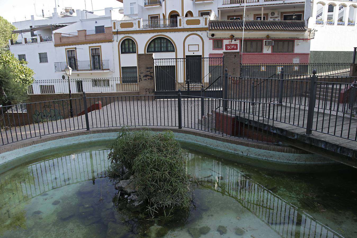 Imágenes de la Puebla del Río, un pueblo que vive con miedo por el virus del Nilo