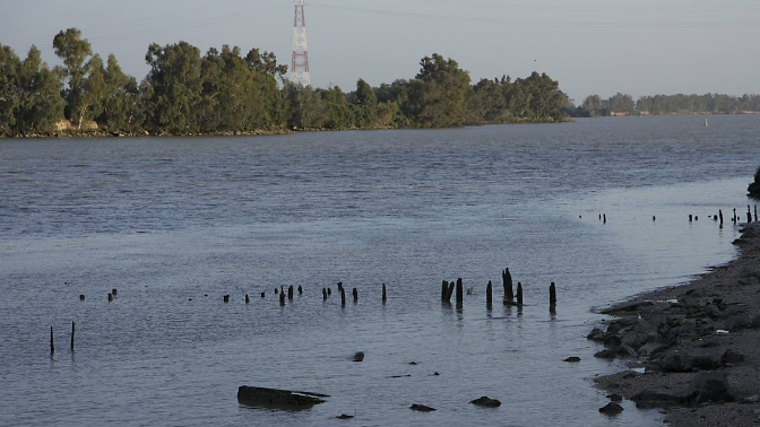 Imágenes de la Puebla del Río